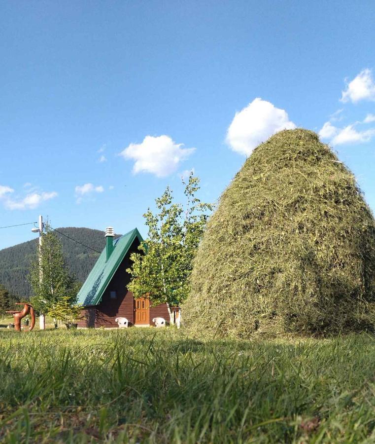 Etno Koliba Nikoleta Žabljak Exterior foto