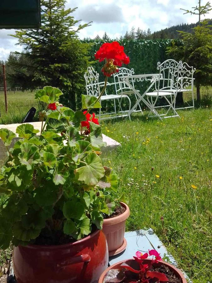 Etno Koliba Nikoleta Žabljak Exterior foto